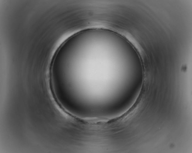 X0000102280951200807251355