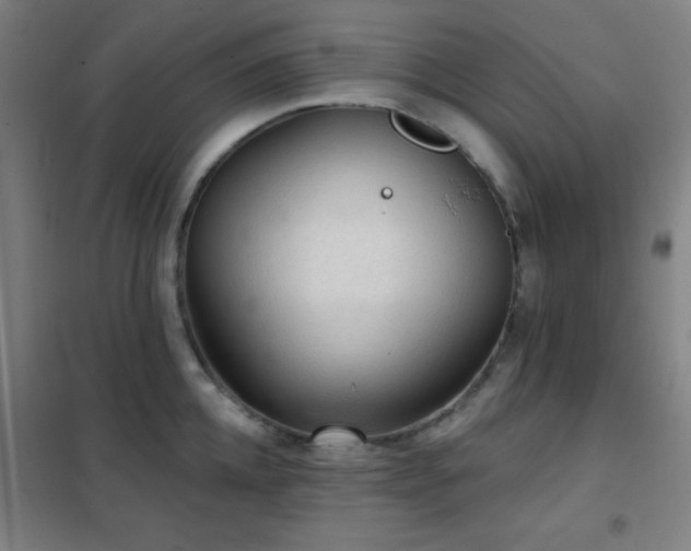 X0000102280952200807251355