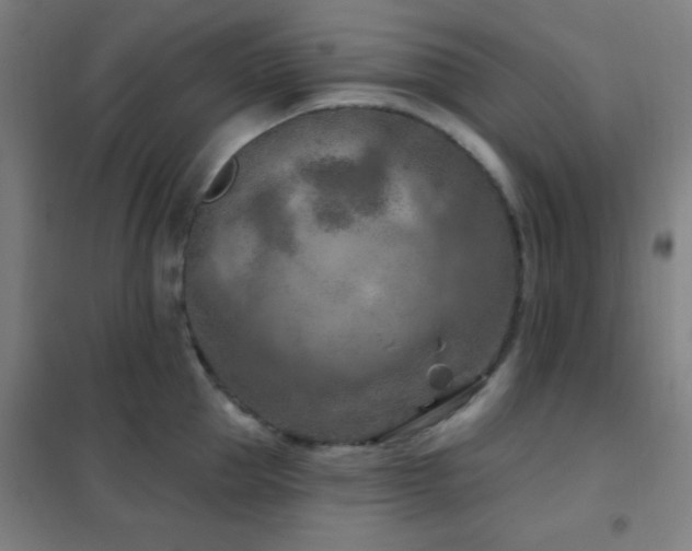 X0000102280953200807251355