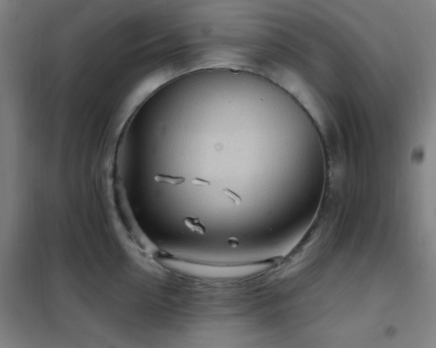 X0000102280954200807251355