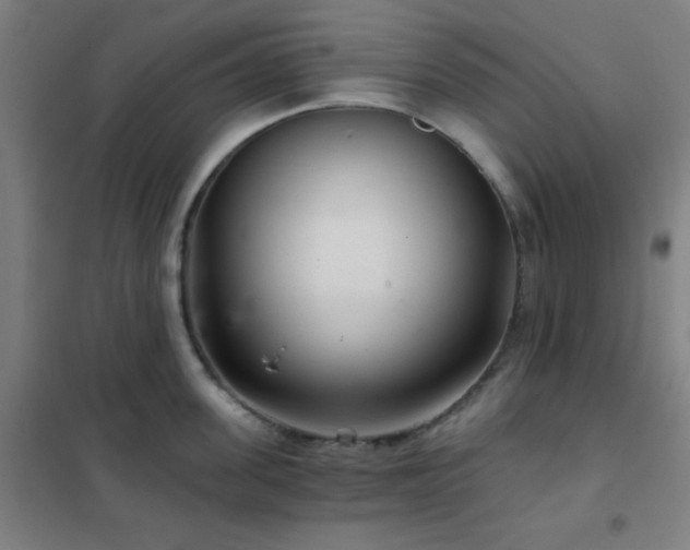 X0000102280955200807251355