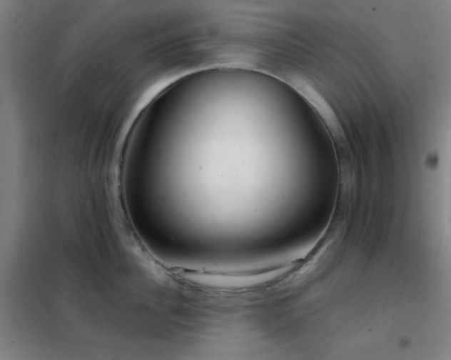 X0000102280956200807251355