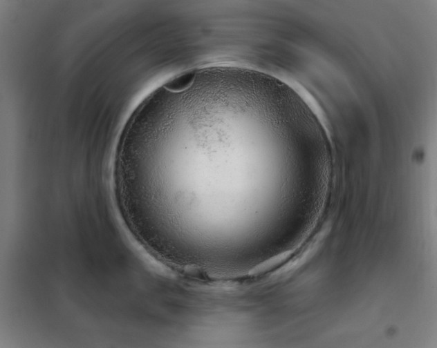 X0000102280957200807251355