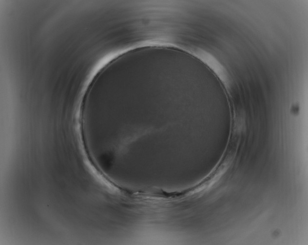 X0000102280958200807251355