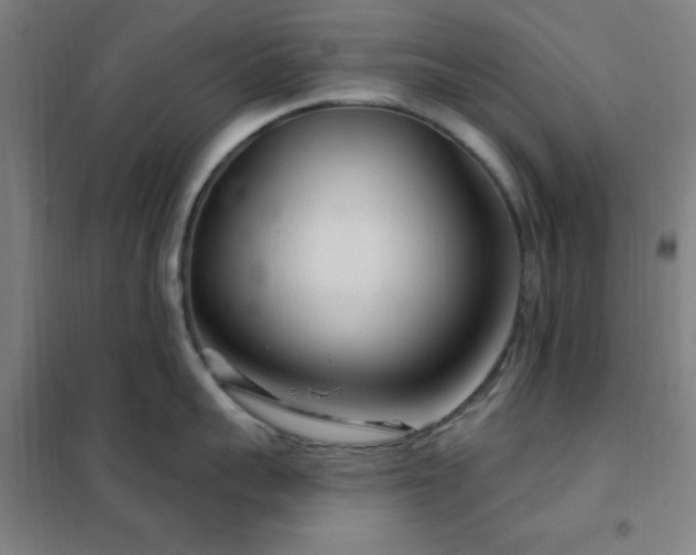 X0000102280959200807251355
