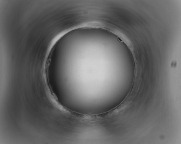 X0000102280960200807251355