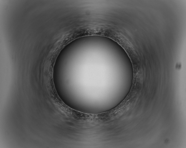 X0000102280961200807251355