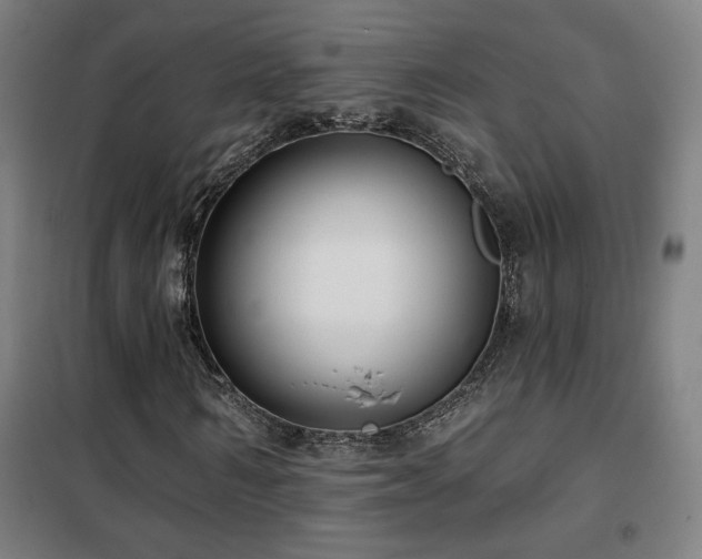 X0000102280962200807251355