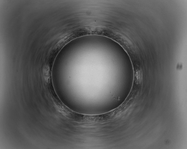 X0000102280963200807251355
