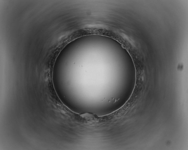 X0000102280965200807251355