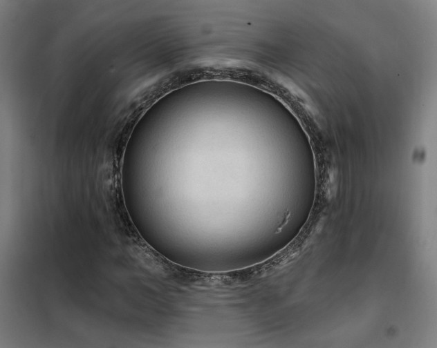 X0000102280966200807251355