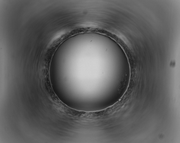 X0000102280967200807251355