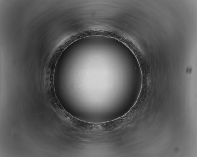 X0000102280968200807251355