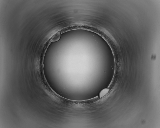 X0000102280969200807251355