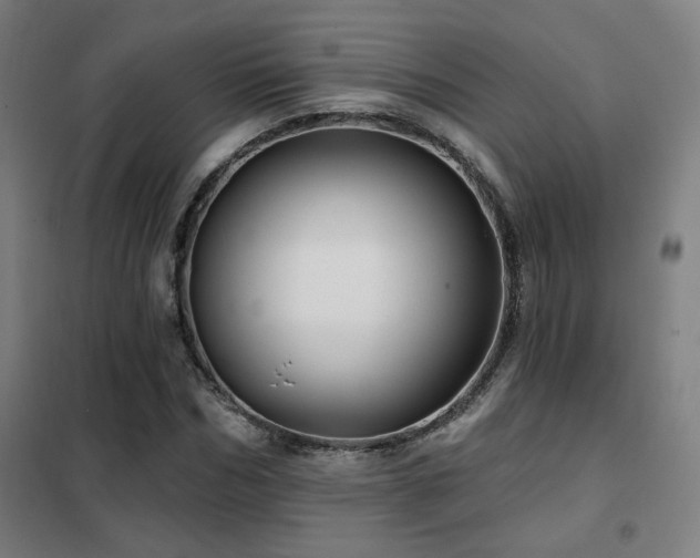 X0000102280970200807251355