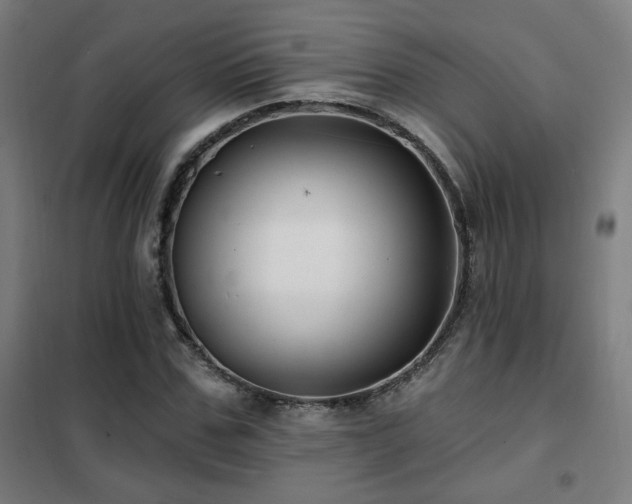 X0000102280971200807251355