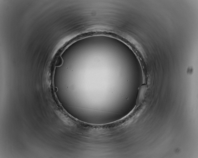 X0000102280973200807251355