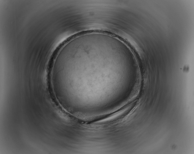 X0000102280975200807251355