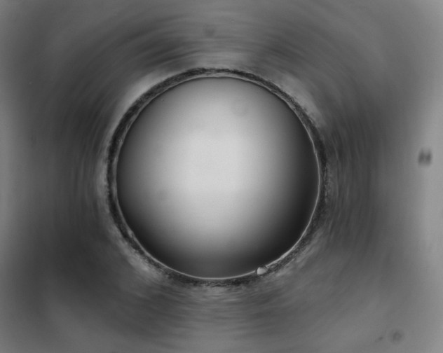 X0000102280976200807251355