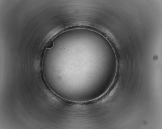X0000102280977200807251355
