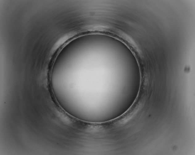 X0000102280978200807251355