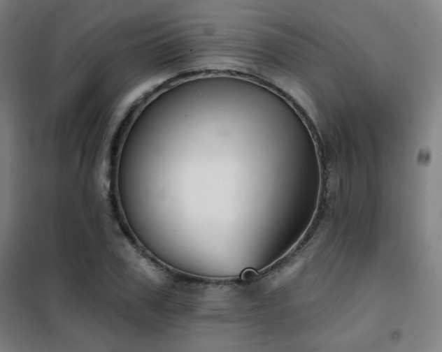 X0000102280979200807251355