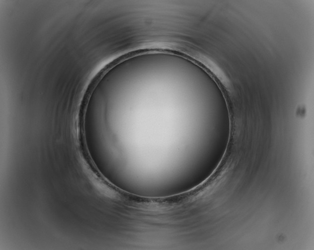 X0000102280980200807251354
