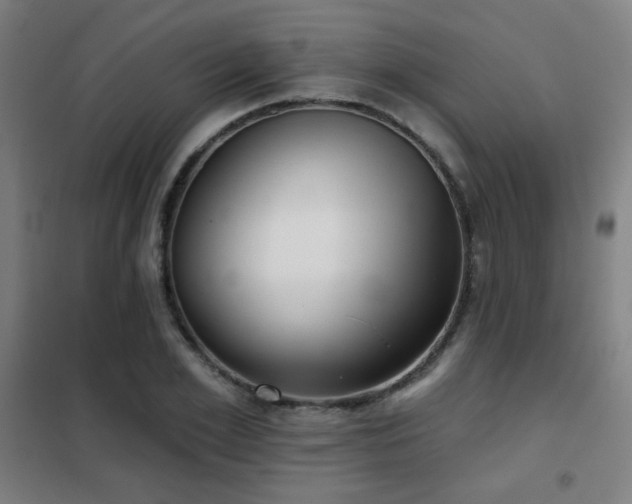 X0000102280981200807251354