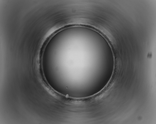 X0000102280982200807251354