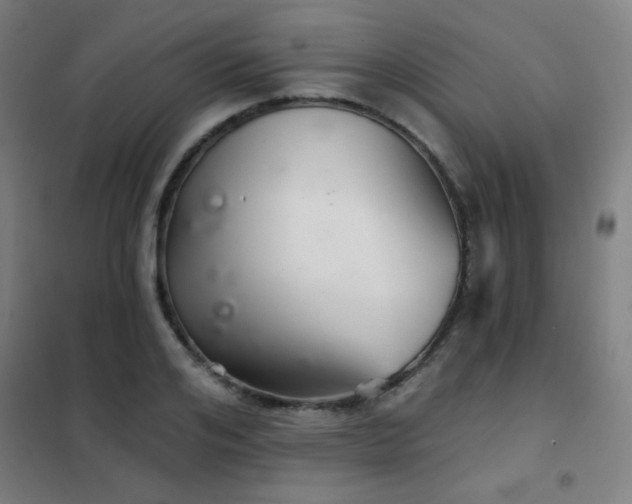 X0000102280984200807251354