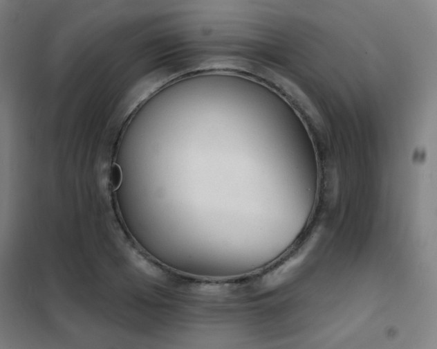 X0000102280985200807251354