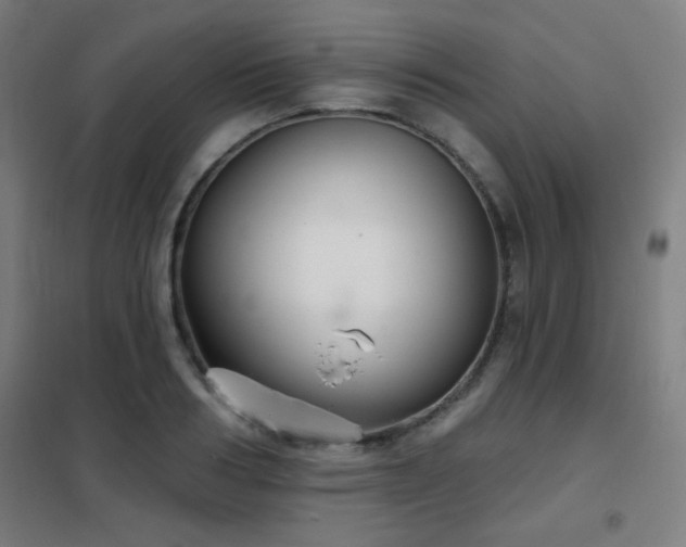 X0000102280986200807251354