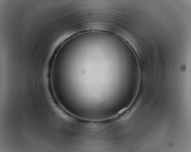 X0000102280987200807251354