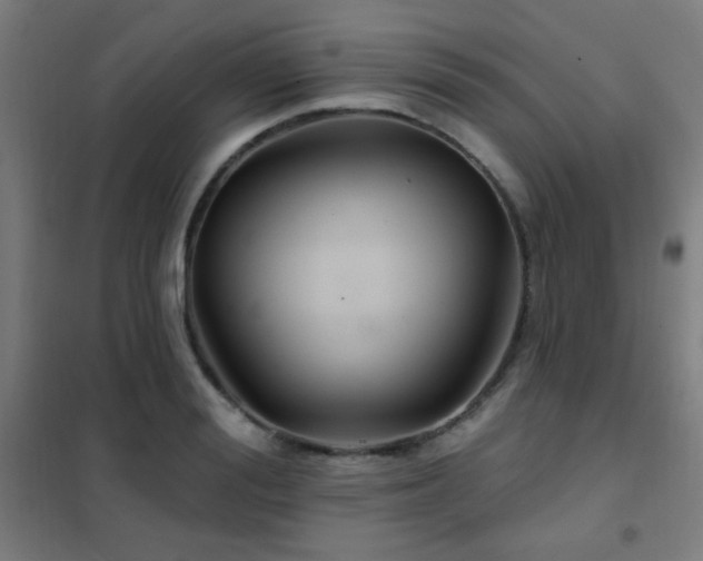 X0000102280988200807251354