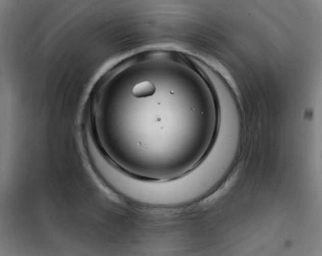 X0000102280989200807251354