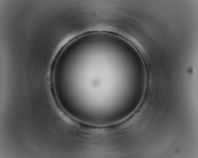 X0000102280990200807251354