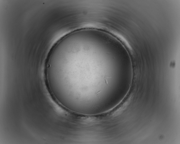 X0000102280991200807251354