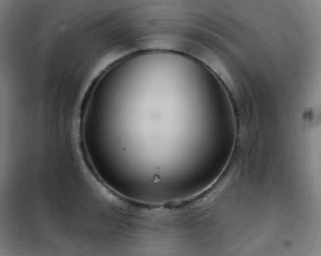 X0000102280992200807251354