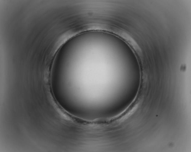 X0000102280993200807251354