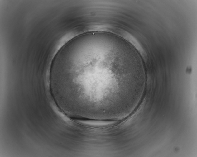 X0000102280994200807251354