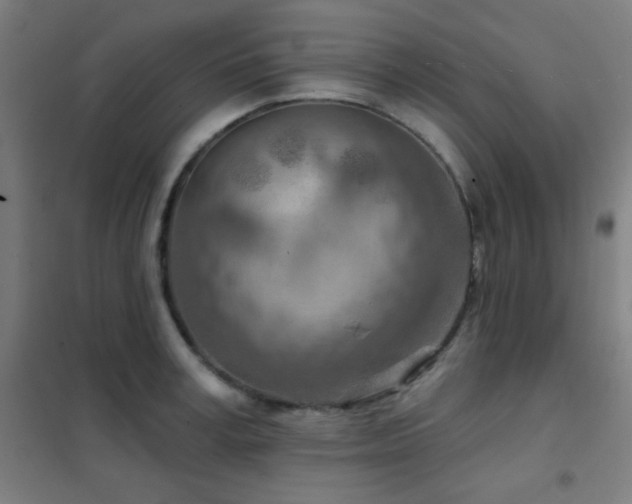 X0000102280995200807251354