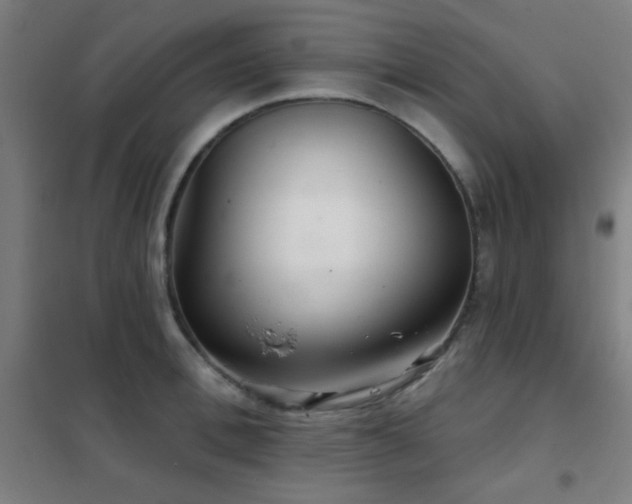 X0000102280996200807251354