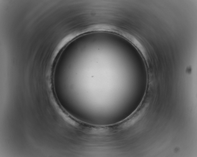 X0000102280997200807251354
