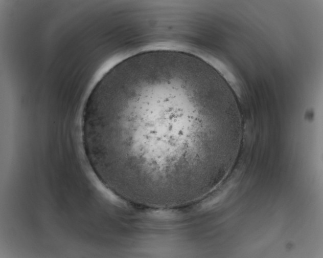 X0000102280998200807251354