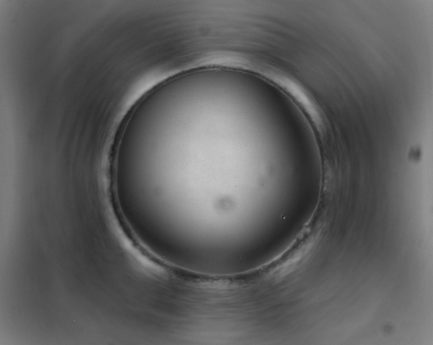 X0000102280999200807251354