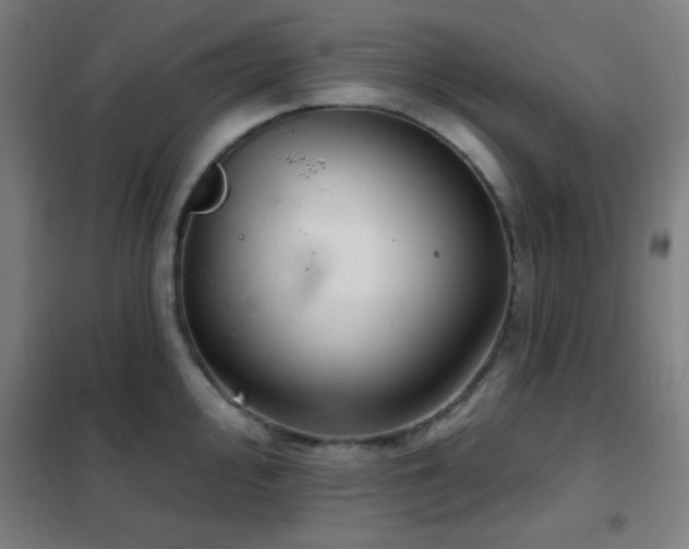 X0000102281000200807251354