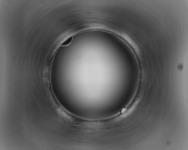 X0000102281001200807251354