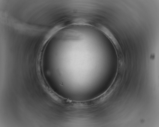 X0000102281002200807251354
