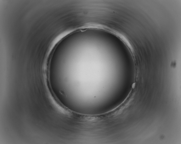 X0000102281003200807251354