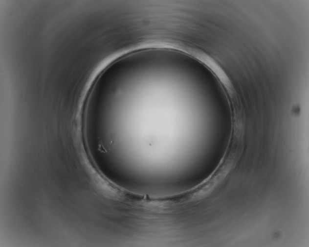X0000102281004200807251354